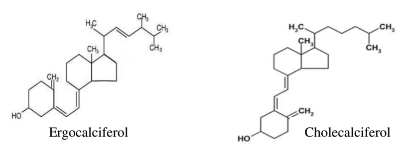 Vitamin D2-Vitamin D3